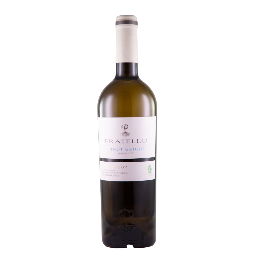 Pinot Grigio Garda 2024