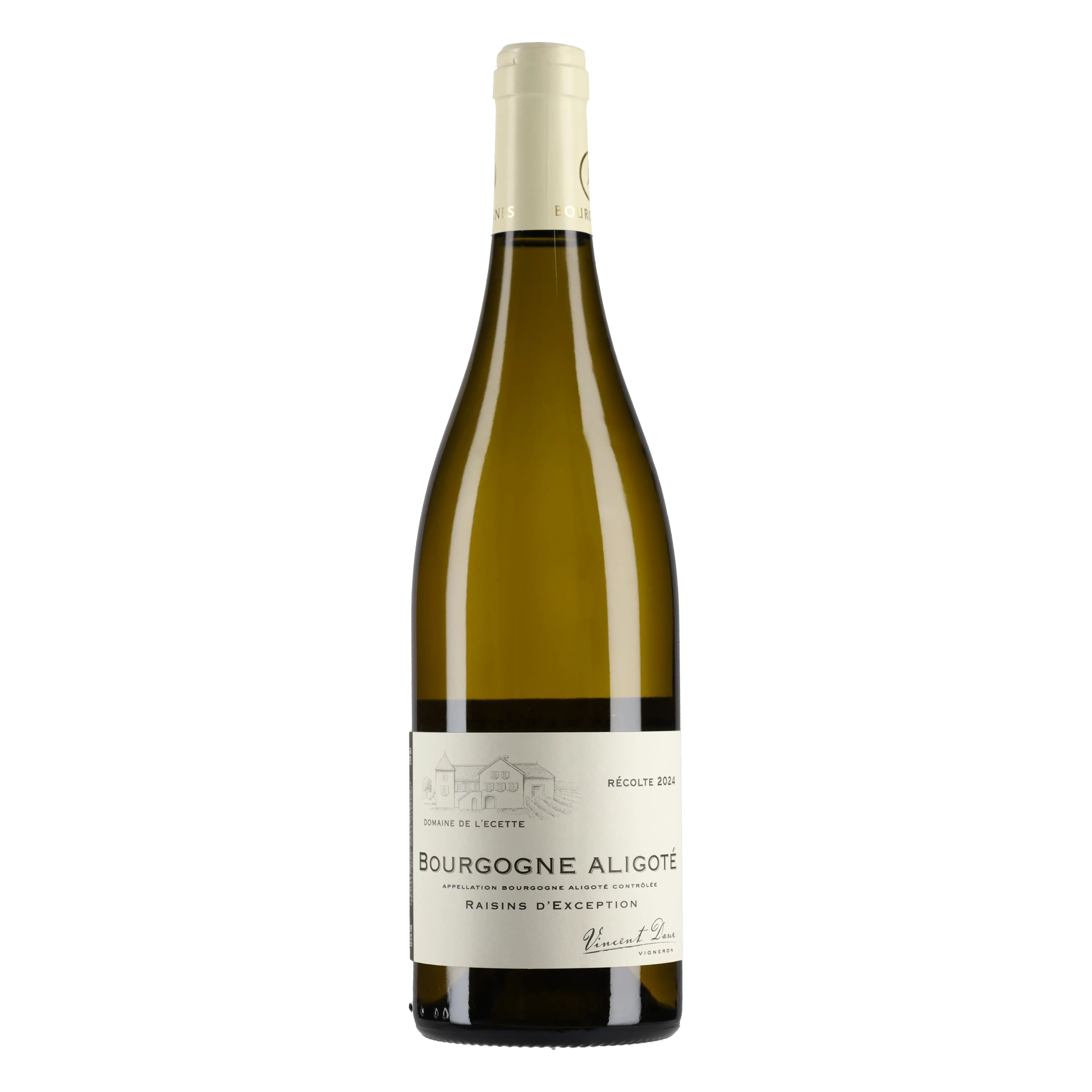 Bourgogne Aligoté 2024