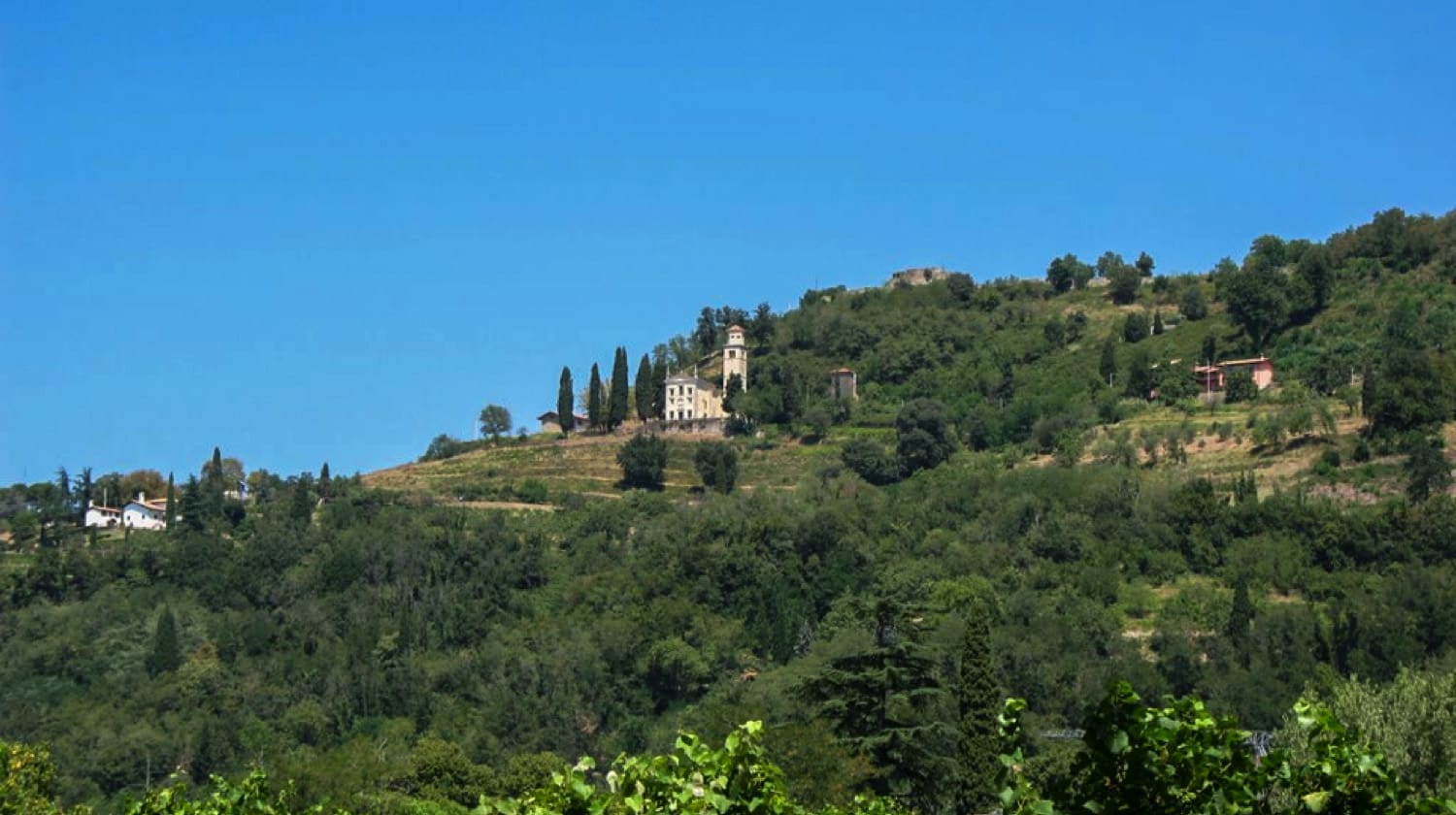 Friulano DOC Collio, 2021