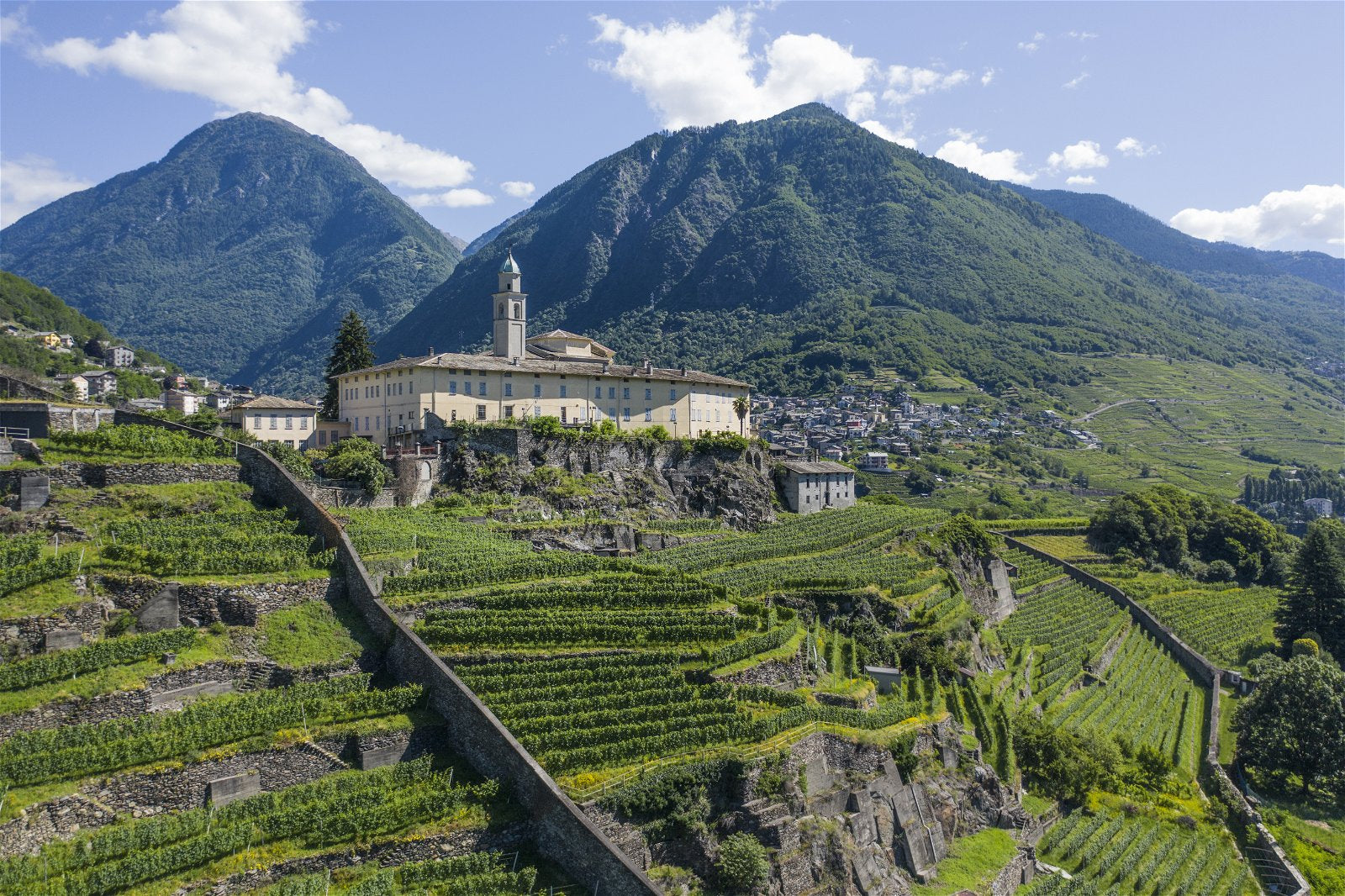 Valtellina Superiore Sassella De Le Mur, 2020