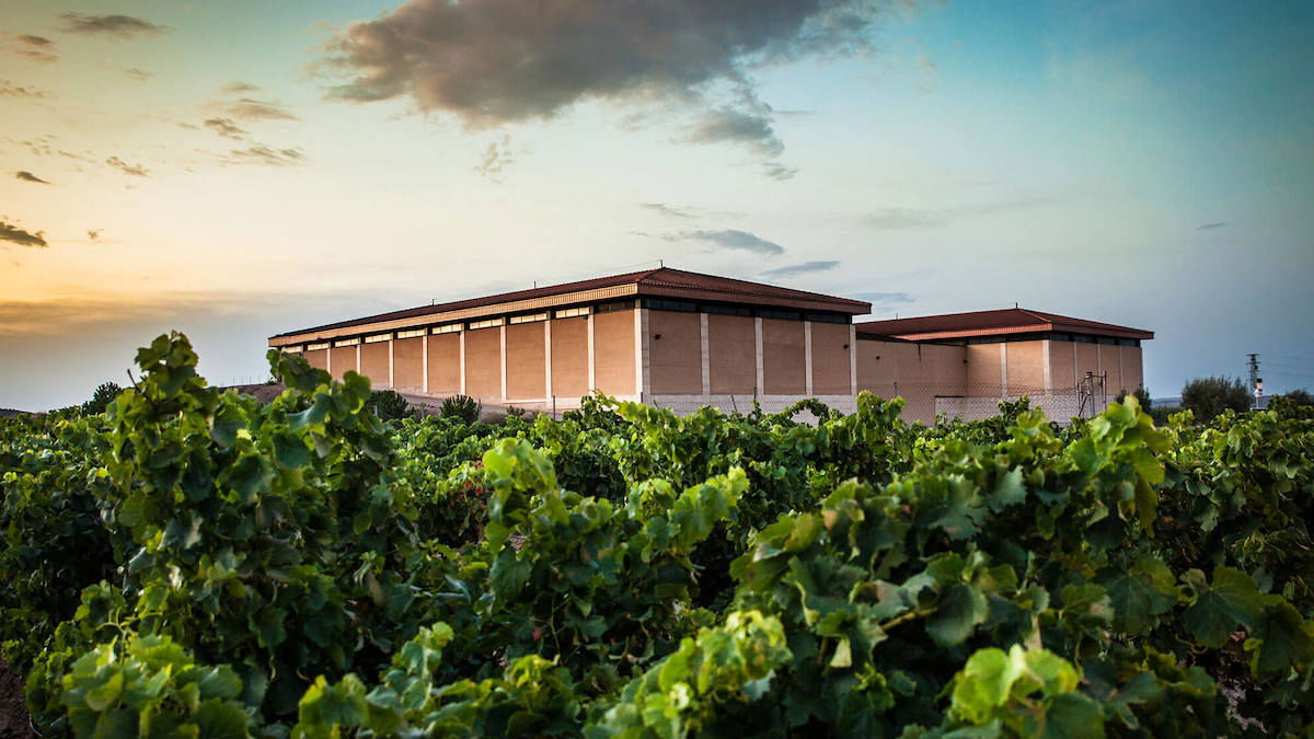 Rioja Crianza, 2021
