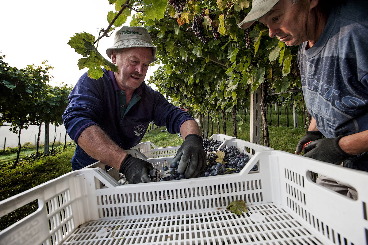 Recioto della Valpolicella Classico Superiore, 2022