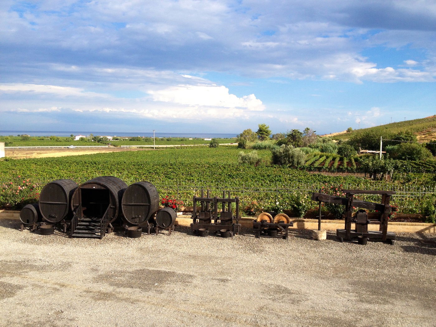 Donna Giovanna, Vendemmia Tardiva, 2023