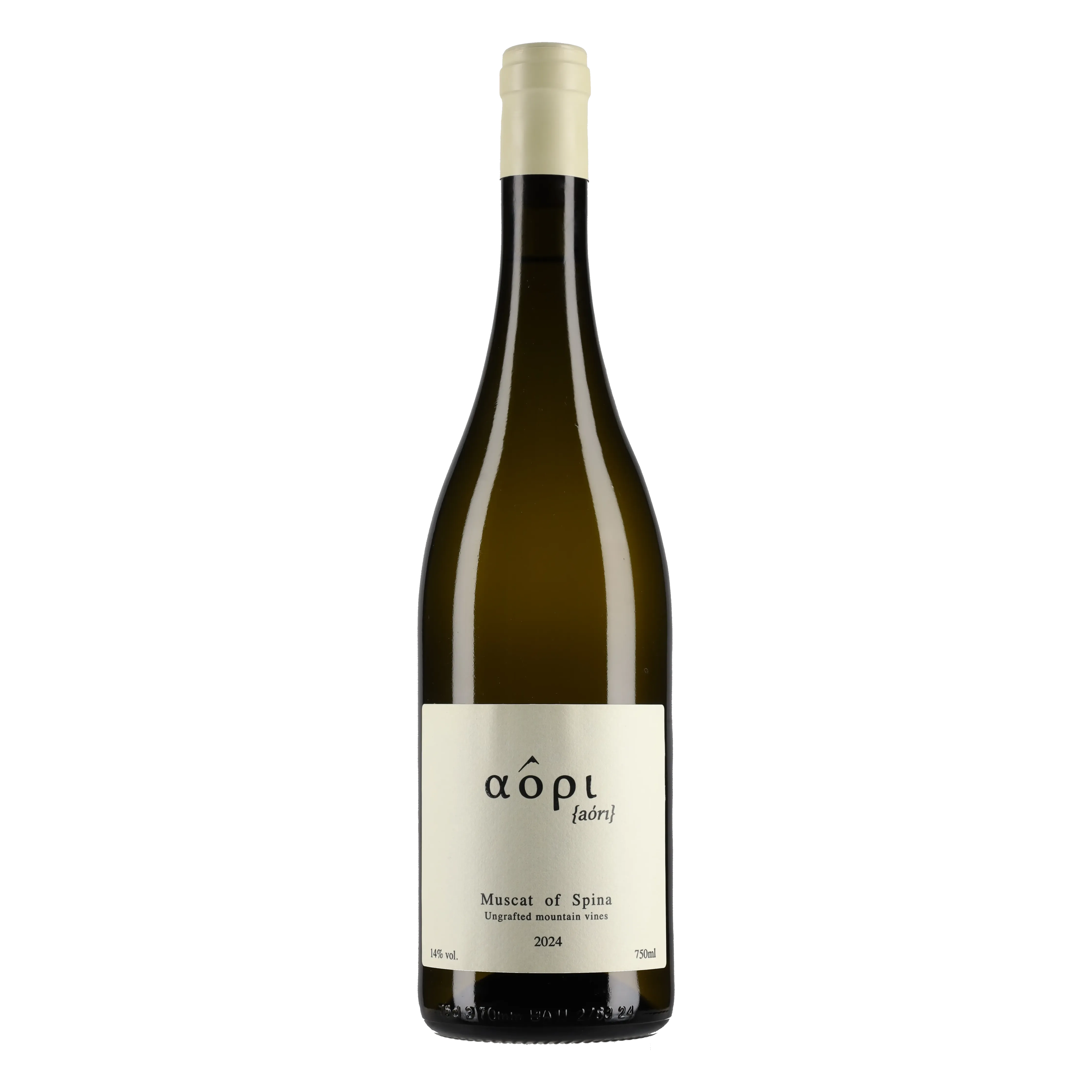 Muscat of Spina 2025