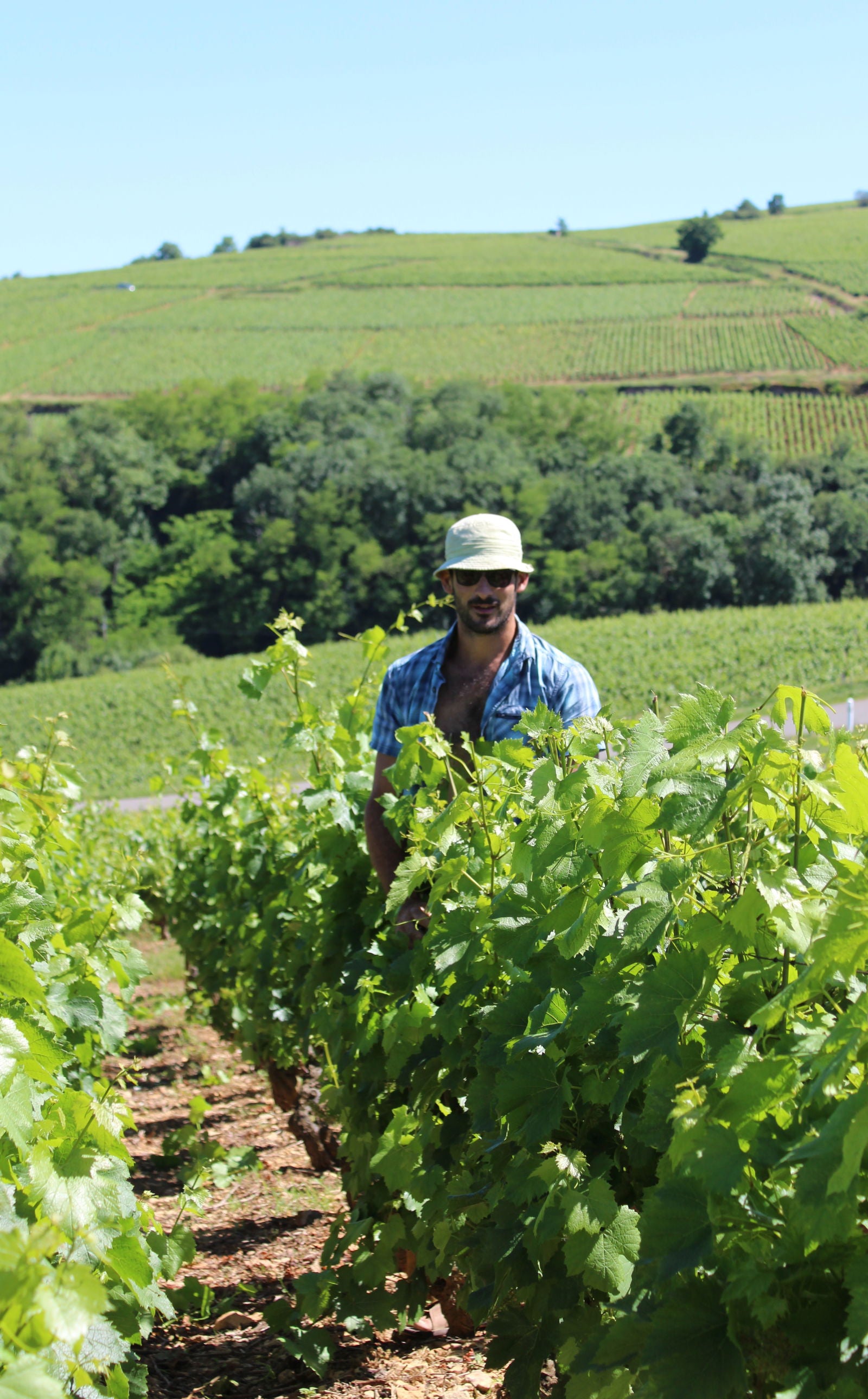 Beaujolais Pruzilly rose, 2023