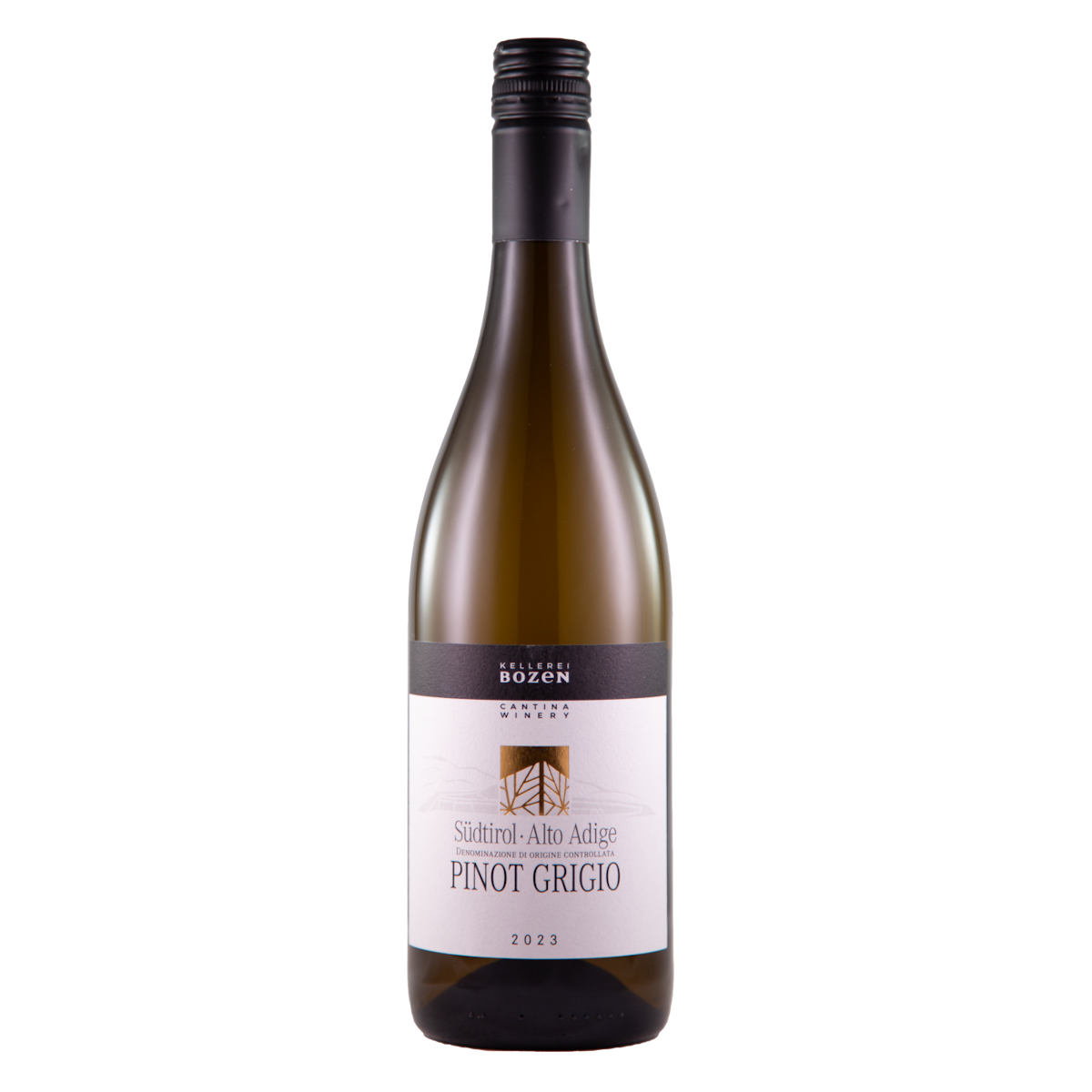 Pinot Grigio, Alto Adige DOC, 2024