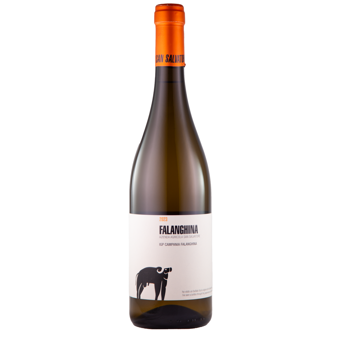 Falanghina IGP Campania, 2023
