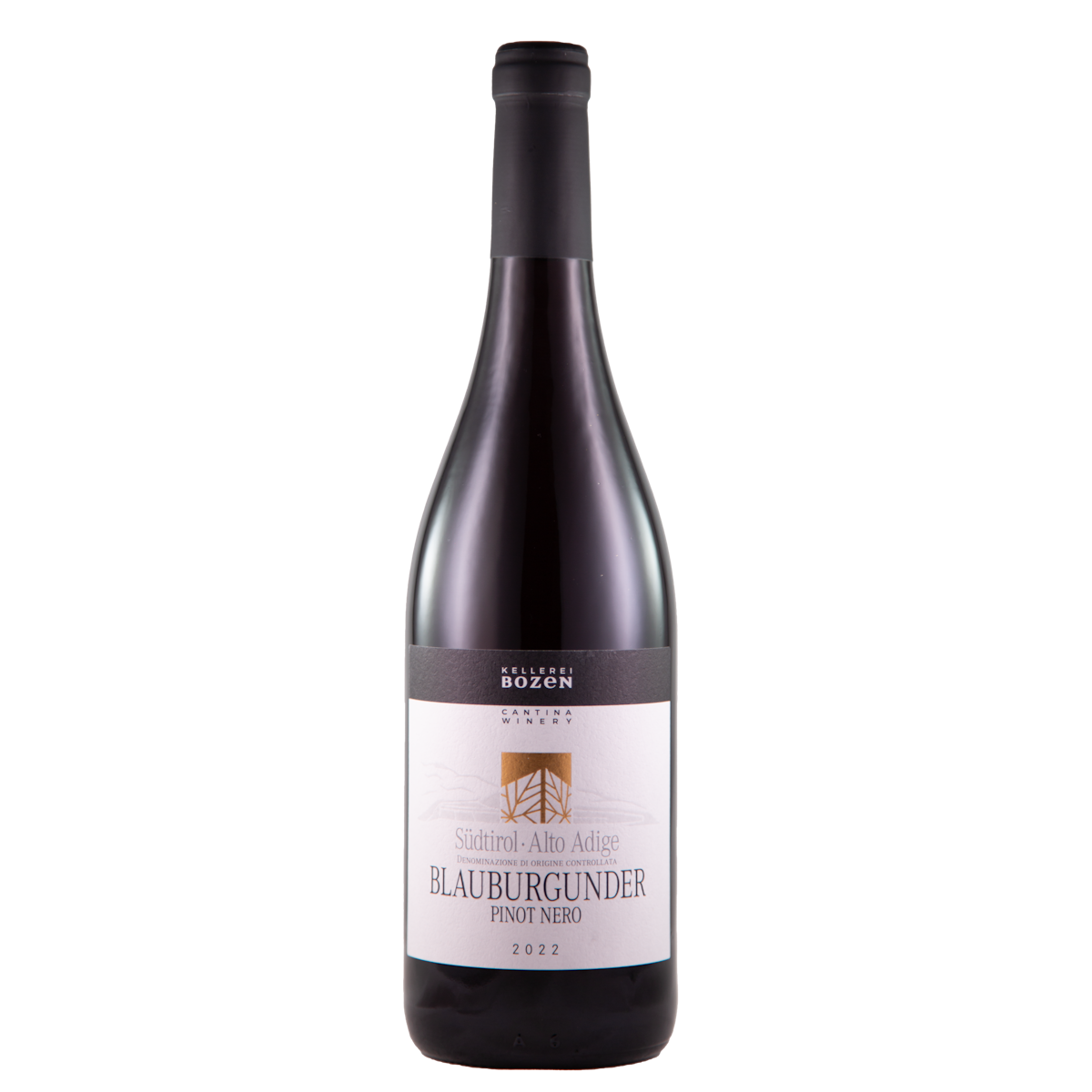 Pinot nero, 2023