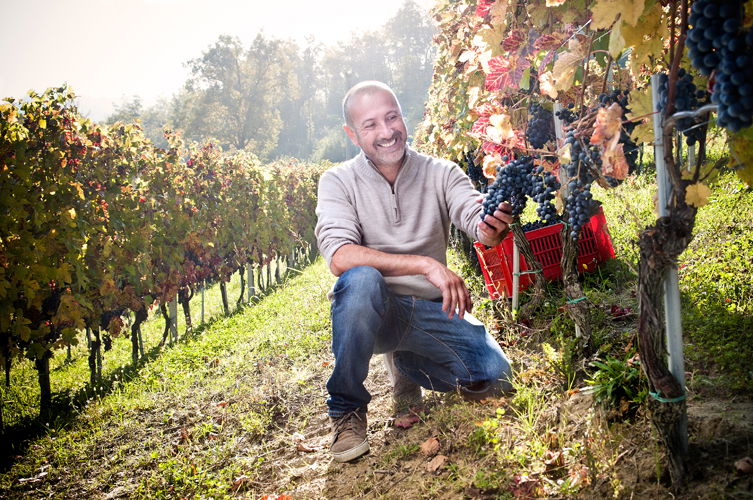 Langhe Nebbiolo, 2023