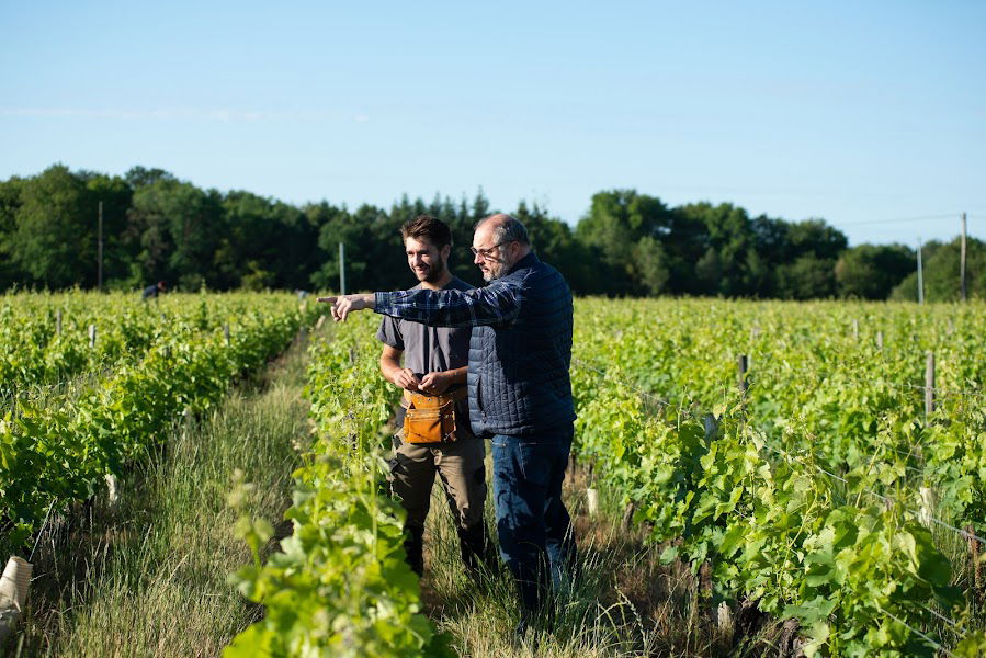 Climat No. 3 Touraine Rouge, 2023