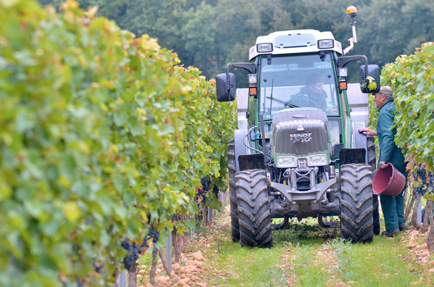 Crozes Hermitage Blanc, 2024