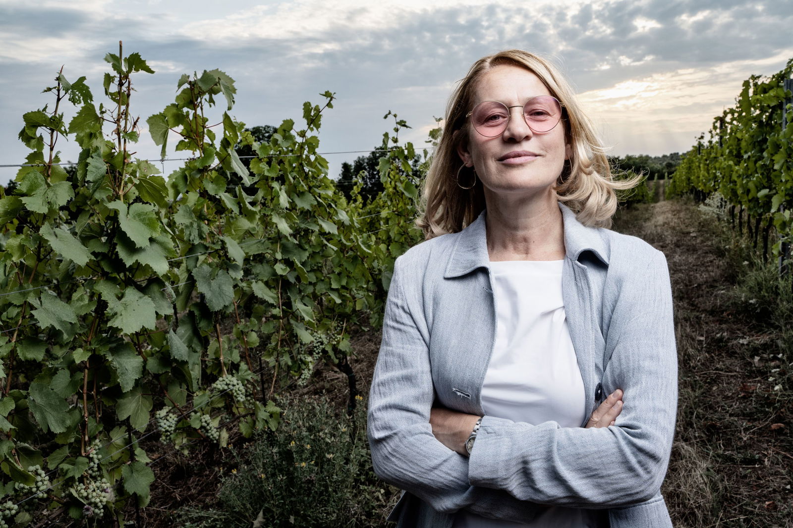 Blaufränkisch ´Carnuntum', 2020