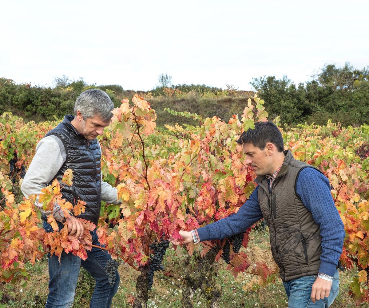 Rioja 'El predilecto', 2022