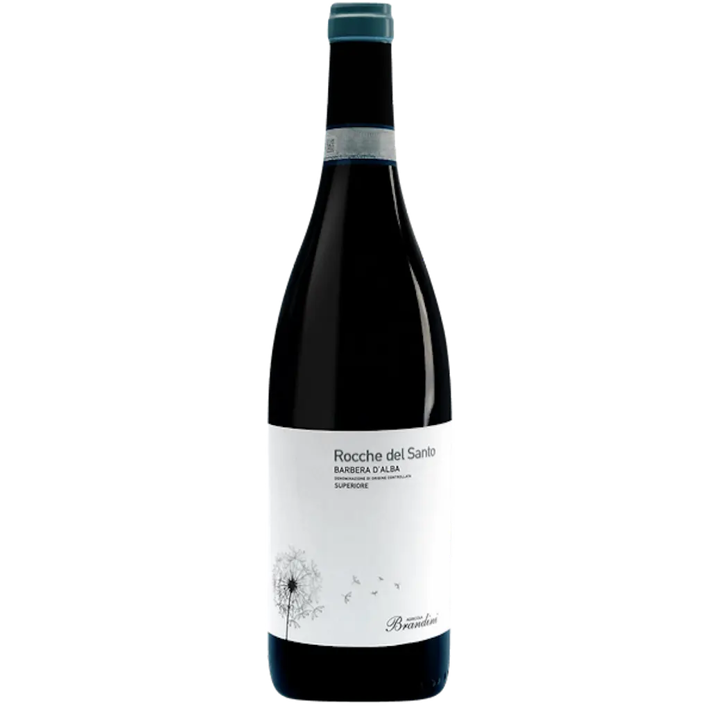 Barbera d'Alba DOC 'Rocche del Santo' 2019