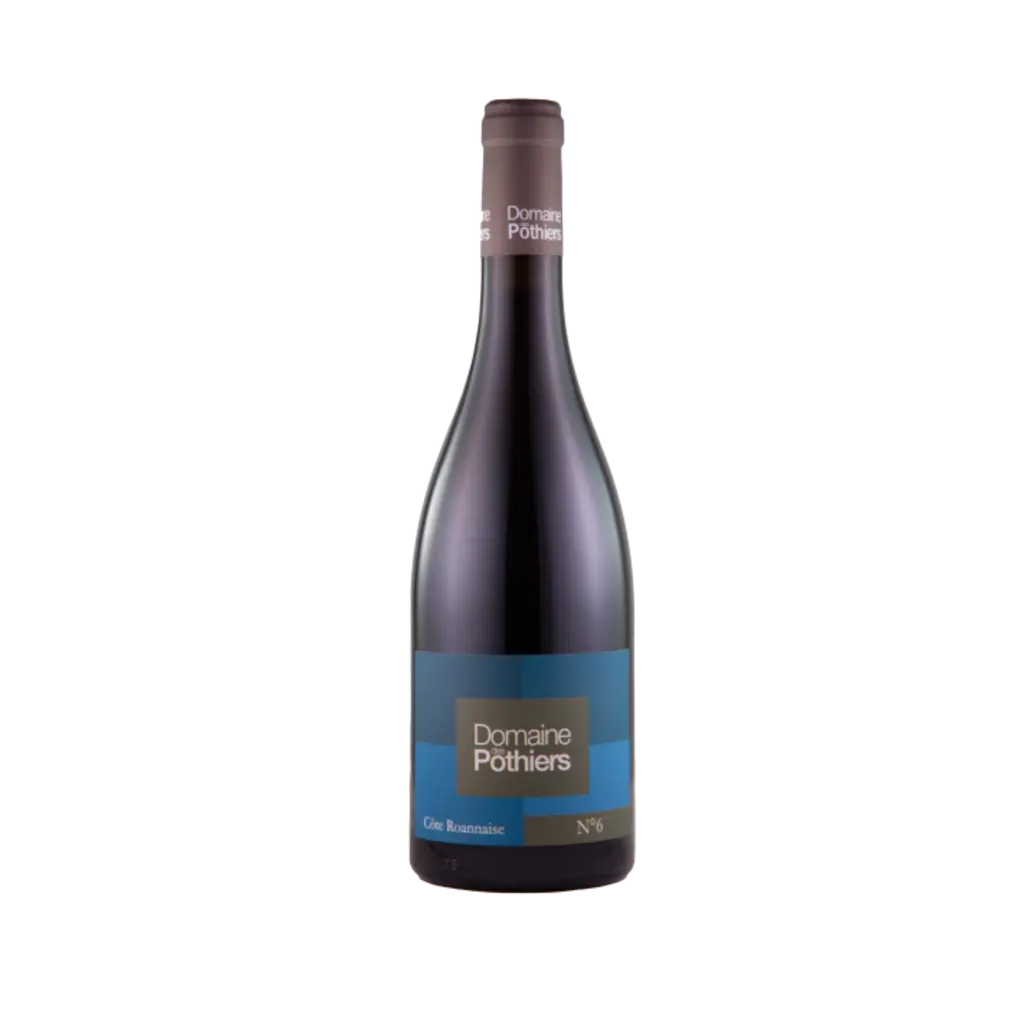 Côte Roannaise 'Cuvée No 6' 2021