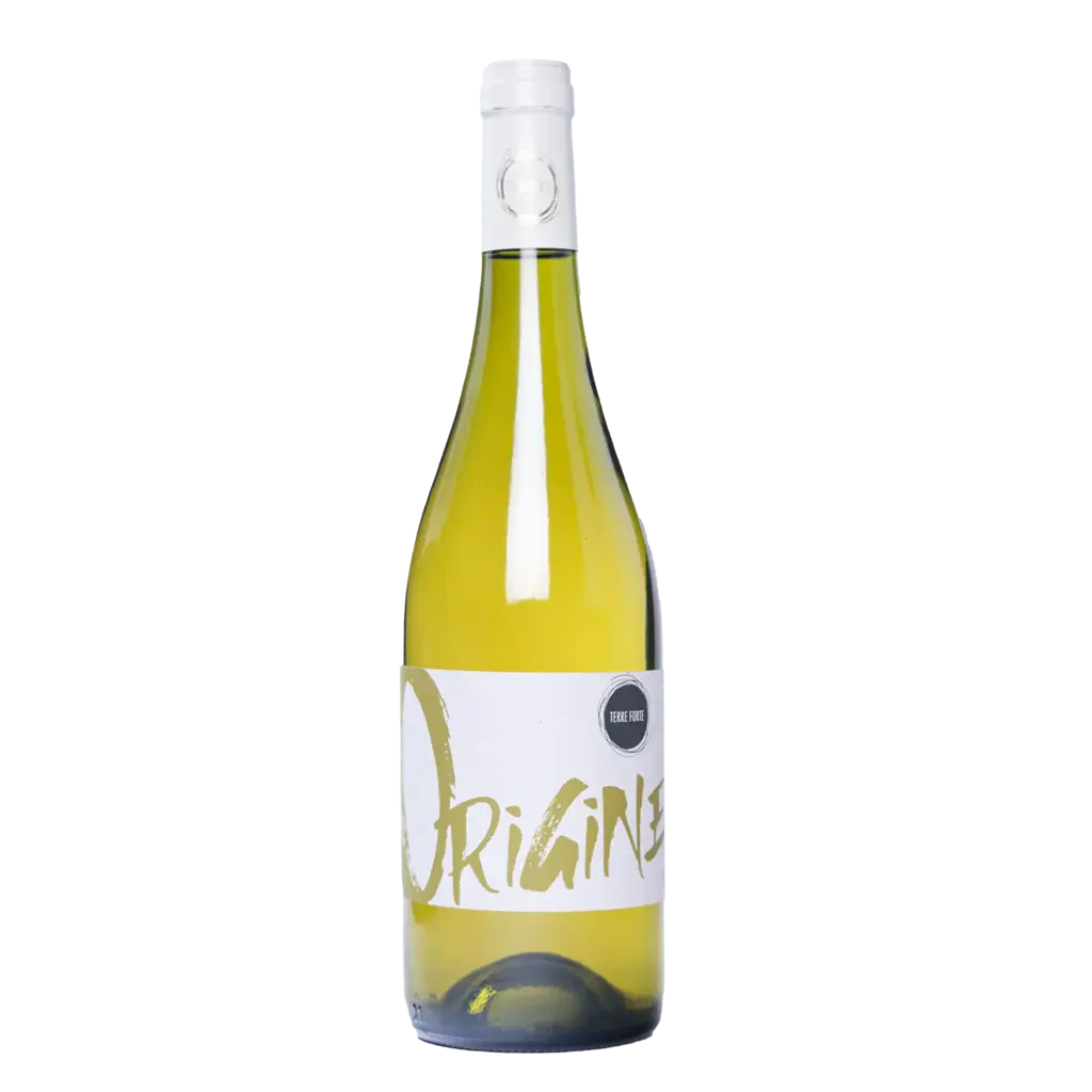 Cotes du Rhone Origine Blanc 2021