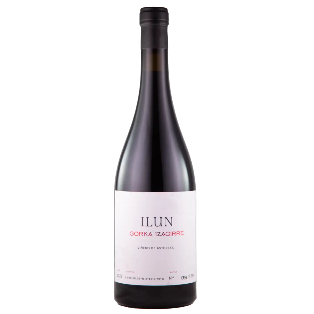 Txakoli Tinto Ilun 2022