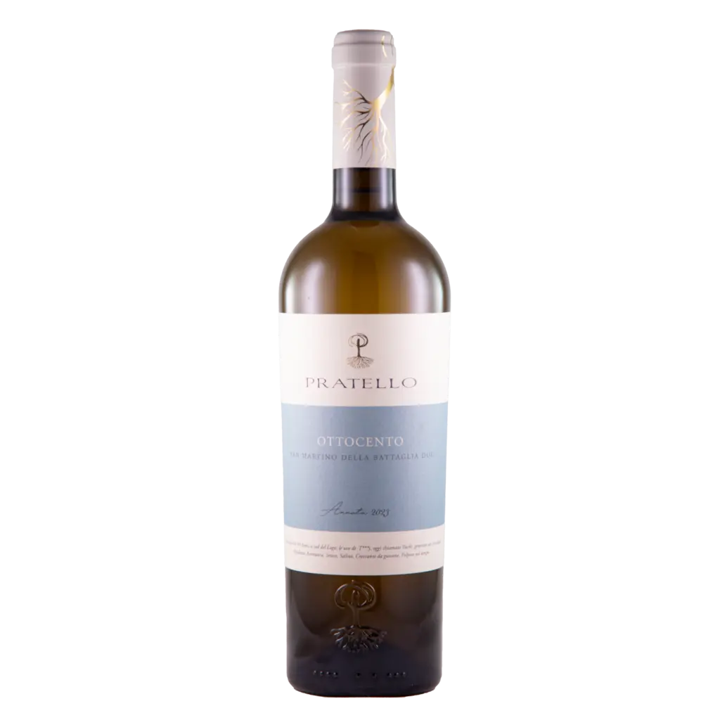 Ottocento San Martino Battaglia 2024