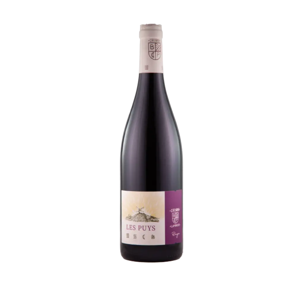 Chinon rouge 'les Puys'  Danae 2019