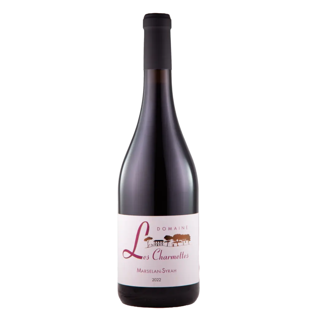 Marselan Syrah 2022