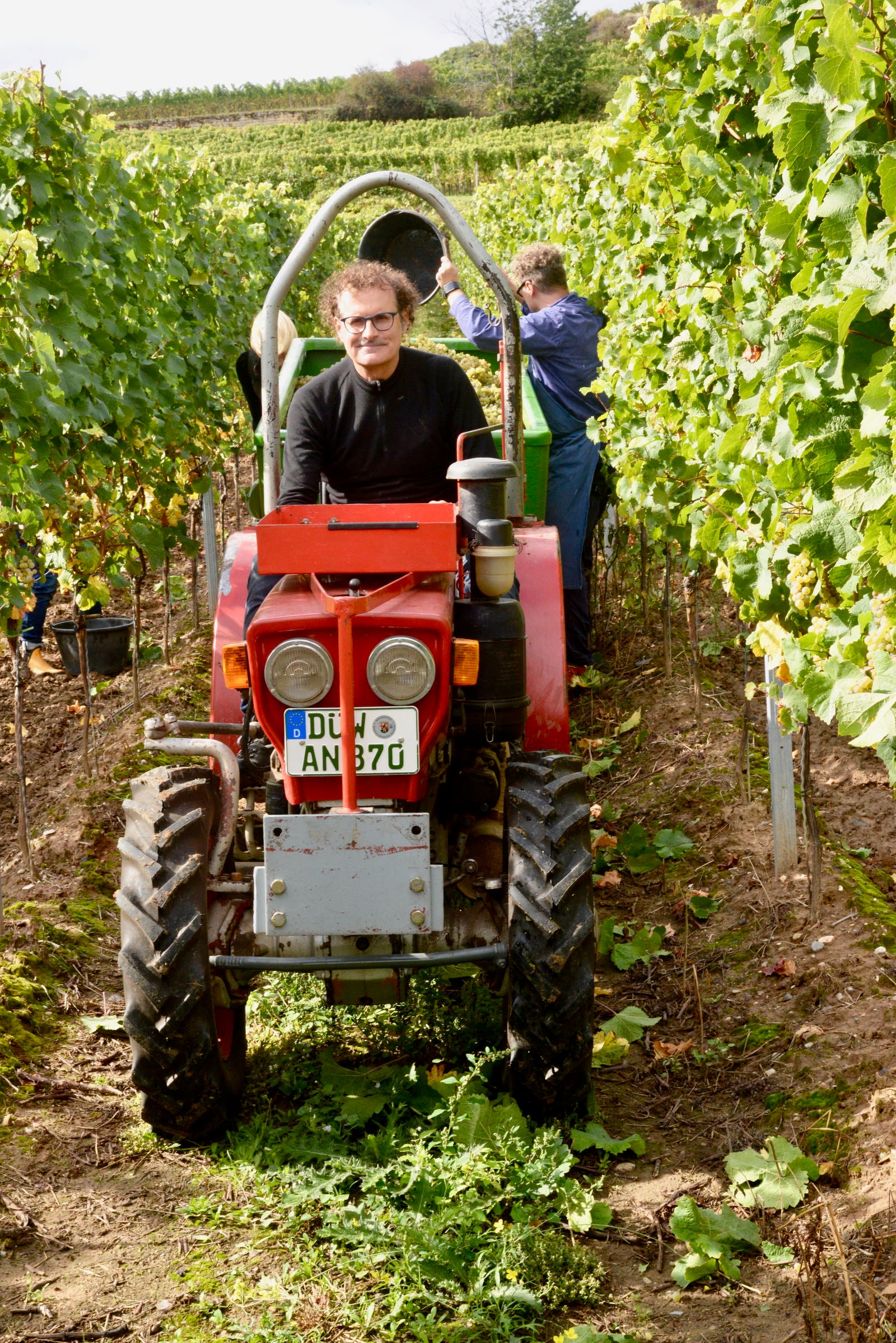 Gewürztraminer, 2022