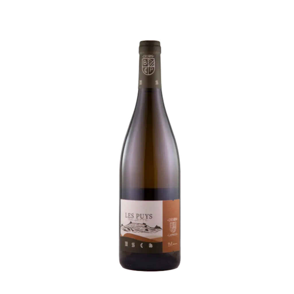 Chinon Blanc ‘Les Puys Rochette’ 2022
