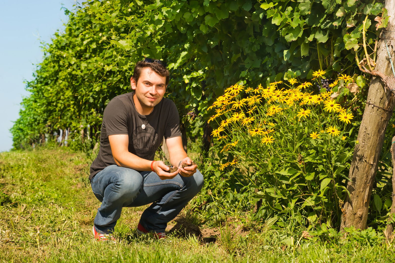 Numen Gruner Veltliner, 2019