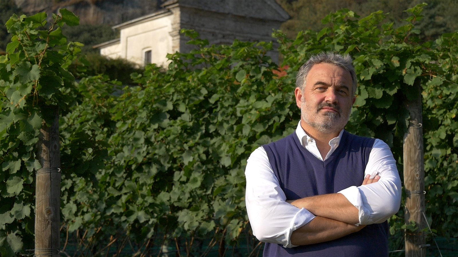 Albareda Sforzato, 2019