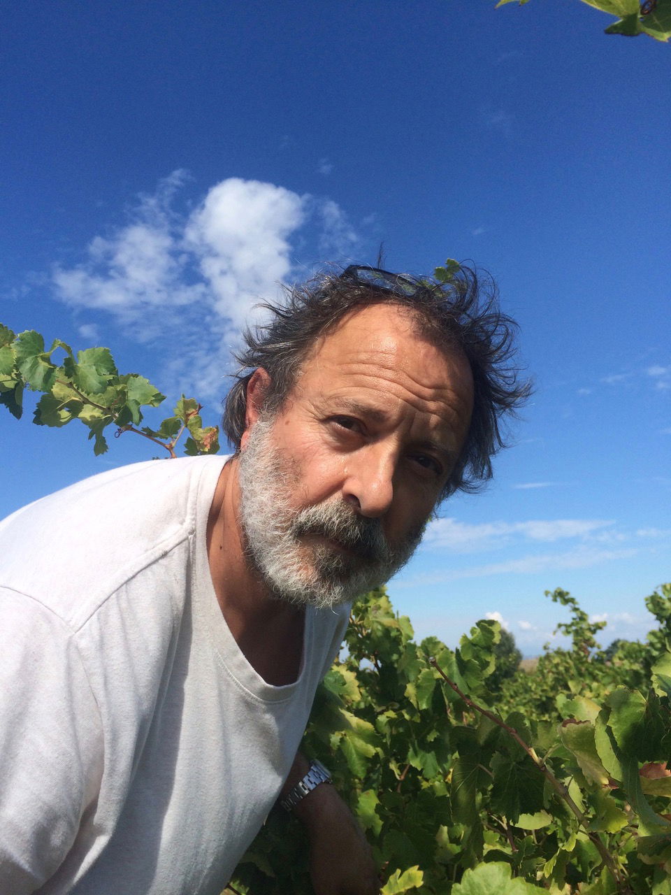 Côtes du Rhône rouge DAUMEN, 2021