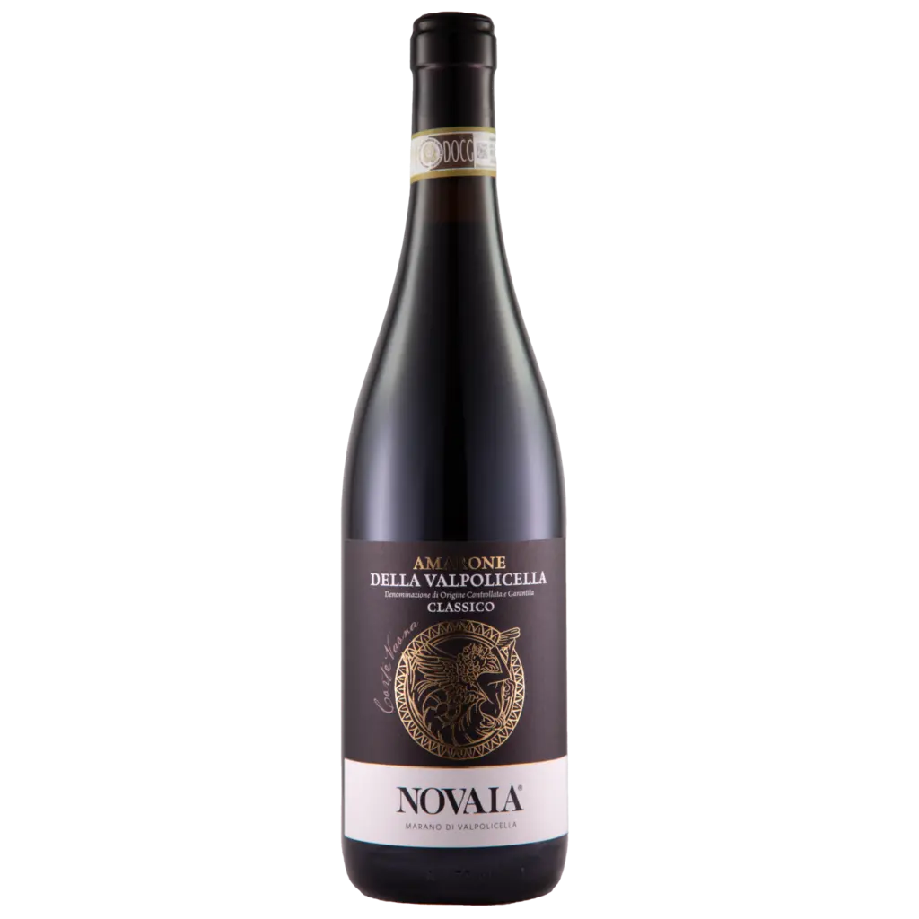 Amarone della Valpolicella 'Corte Vaone' 2021
