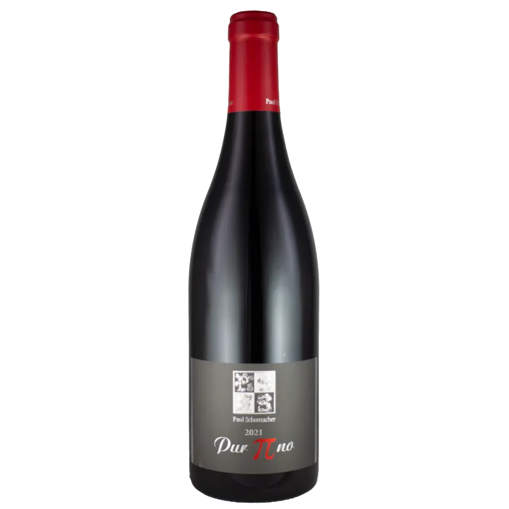 Spätburgunder 'Pur Pinot' 2021