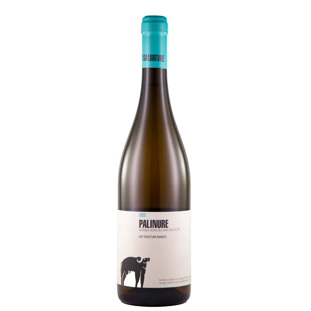Palinure IGP Paestum Bianco 2024