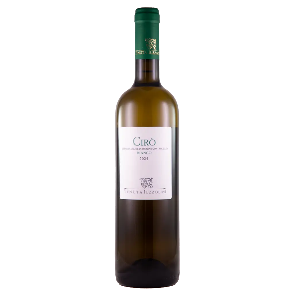 Ciro Bianco Classico 2025
