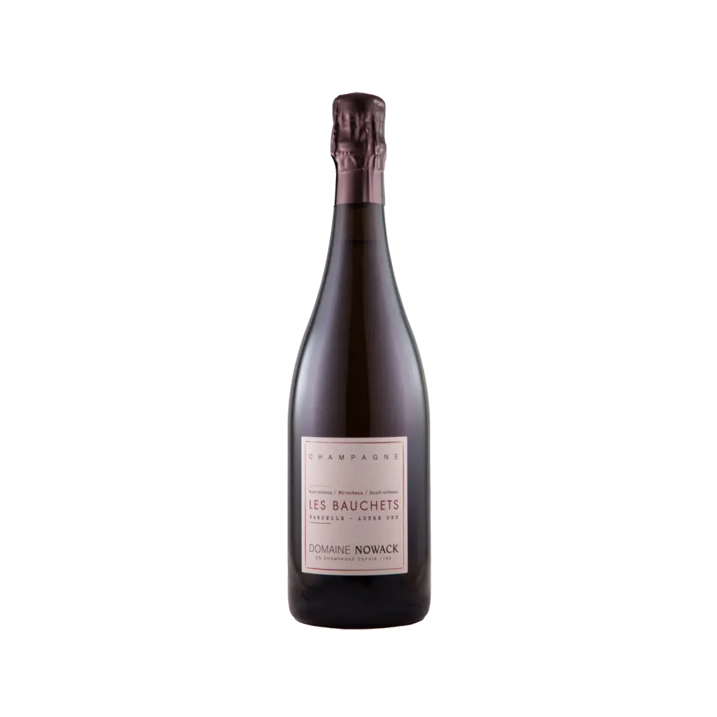 Champagne Bauchets 2021