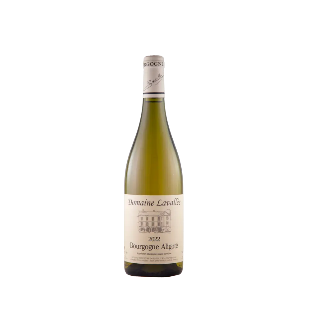 Bourgogne Aligoté 2023