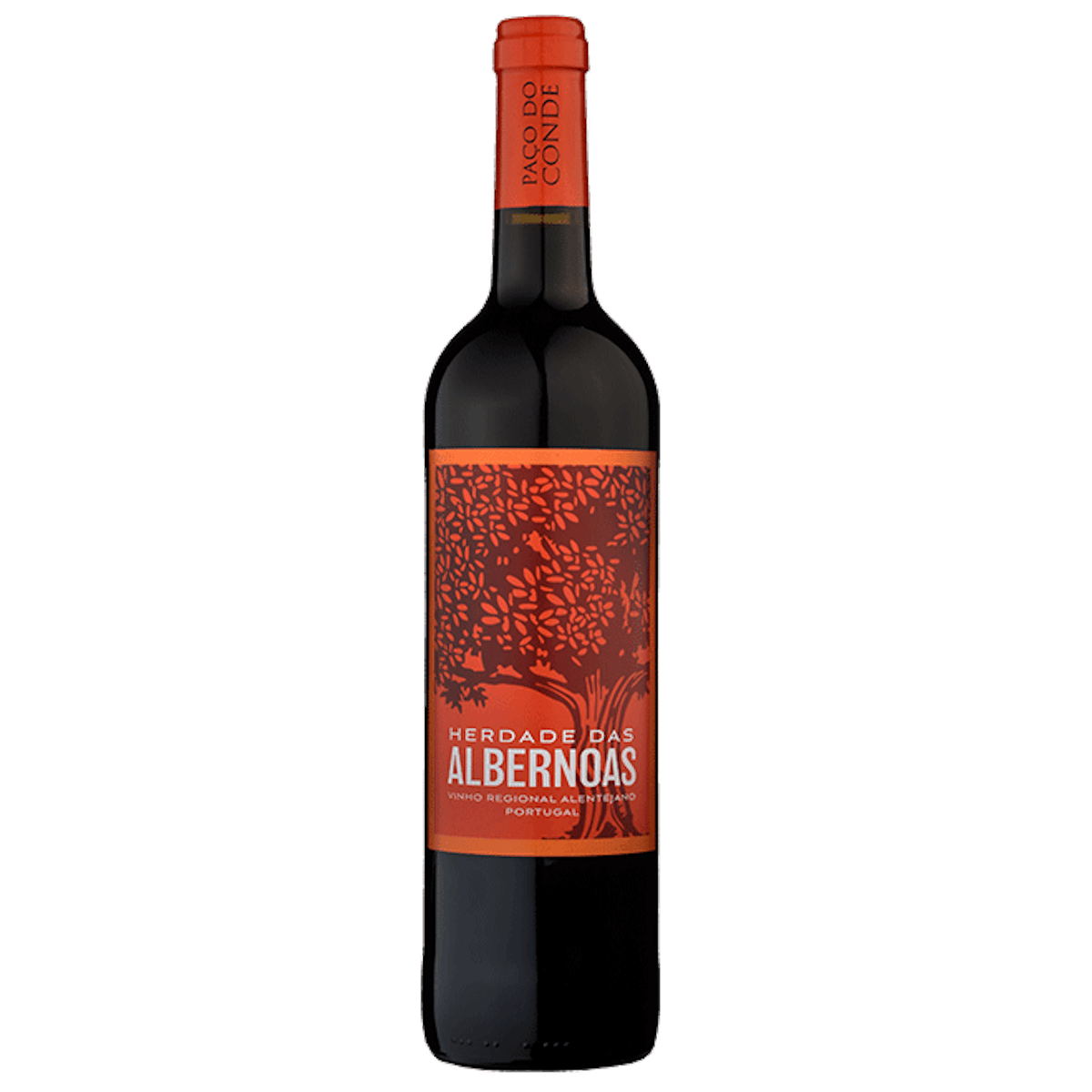 Albernoas, 2019