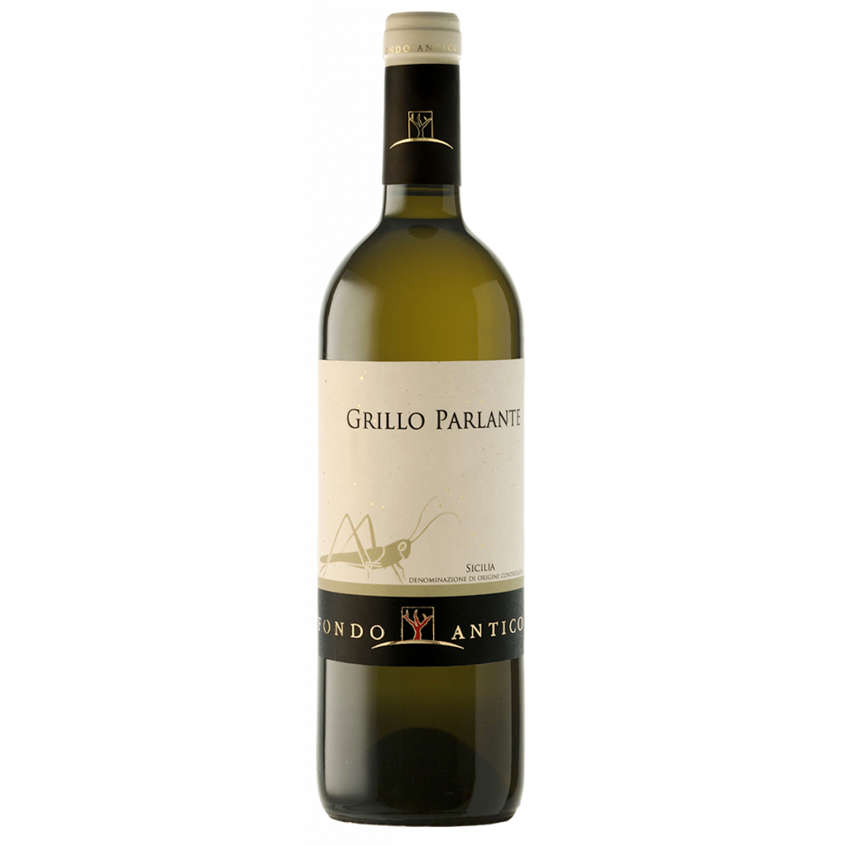 Grillo ‘Parlante’, 2021