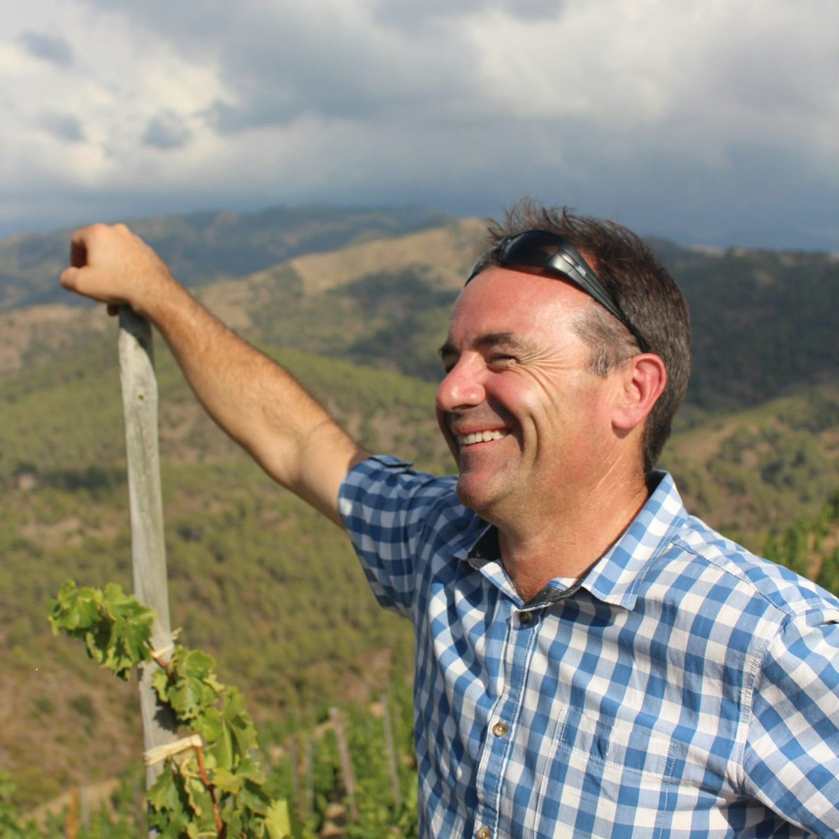 Copos Nature Ecologico Tinto