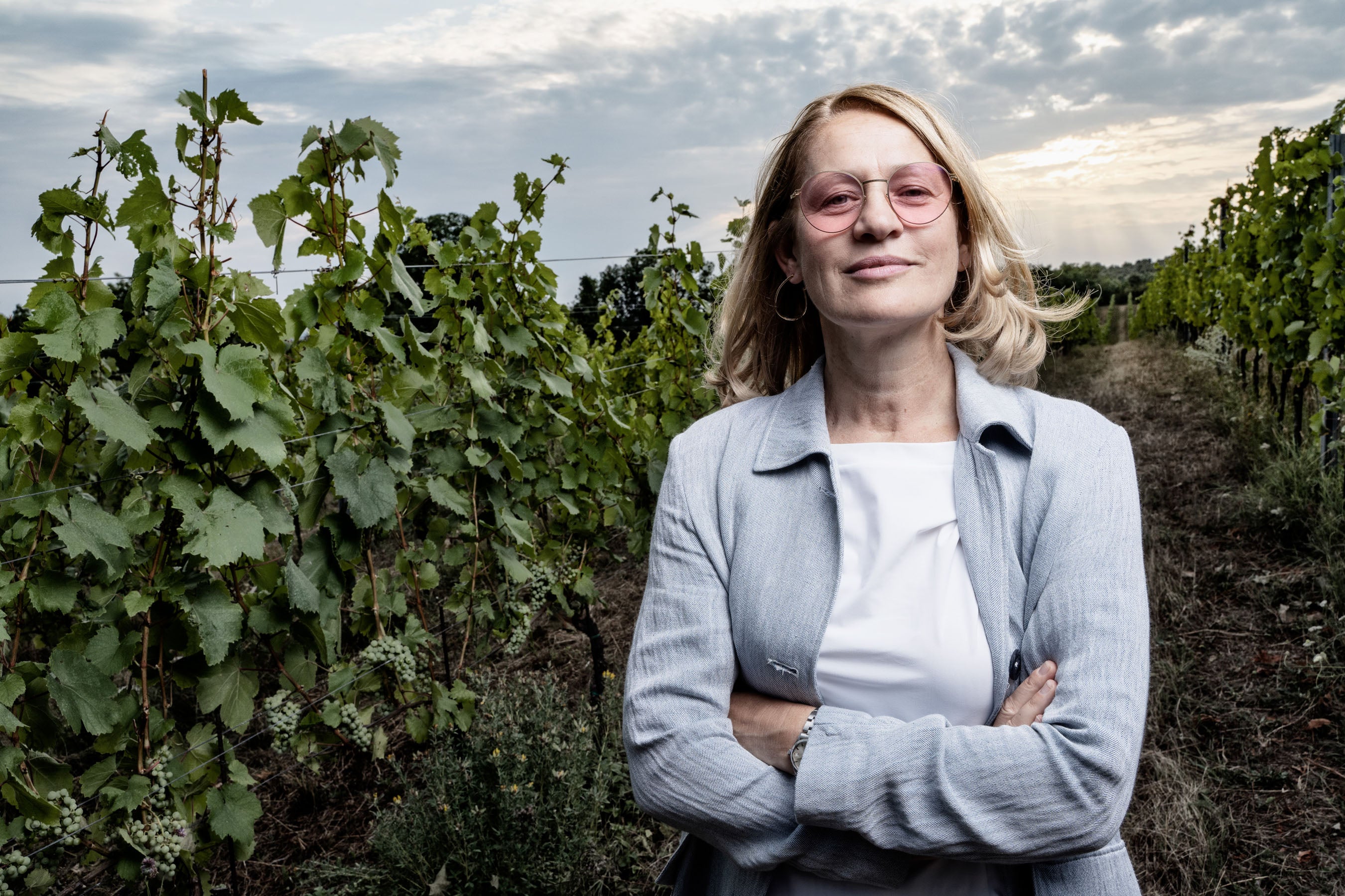 Weisswein 'Prellenkirchen', 2017