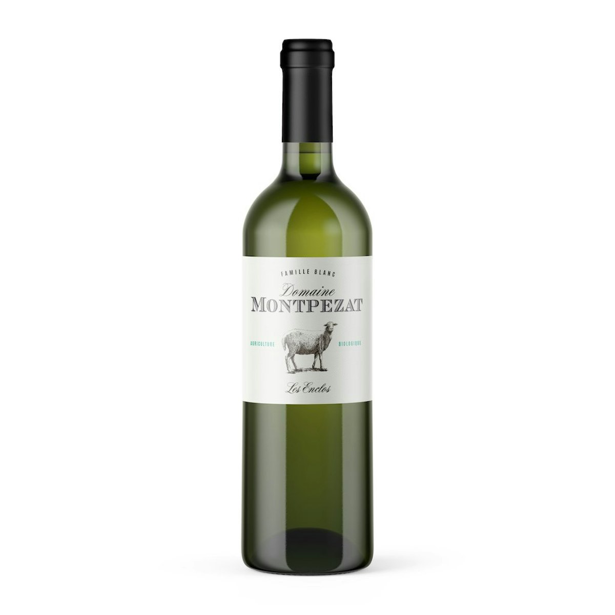 Les Enclos blanc, 2020