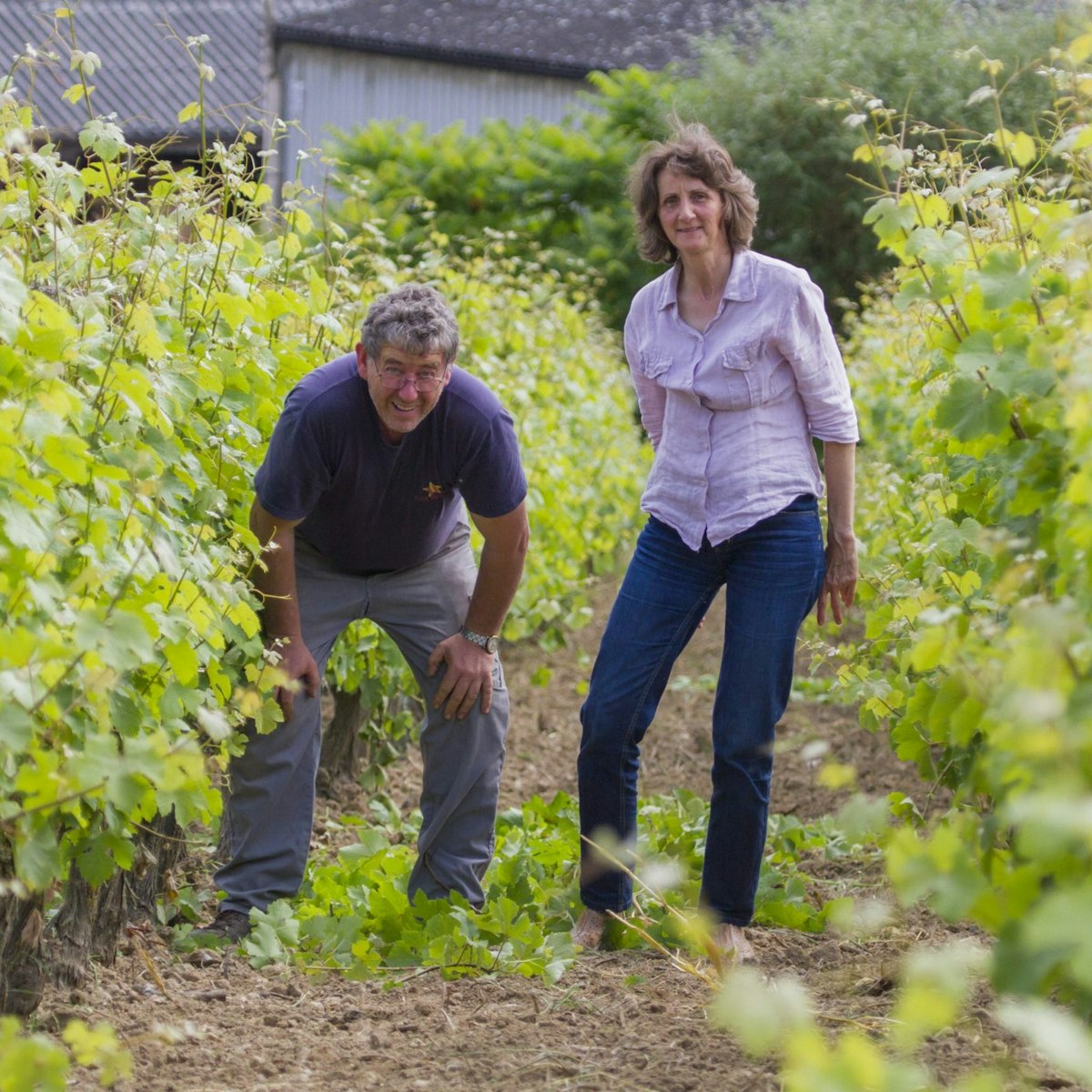 Chinon Les Perruches