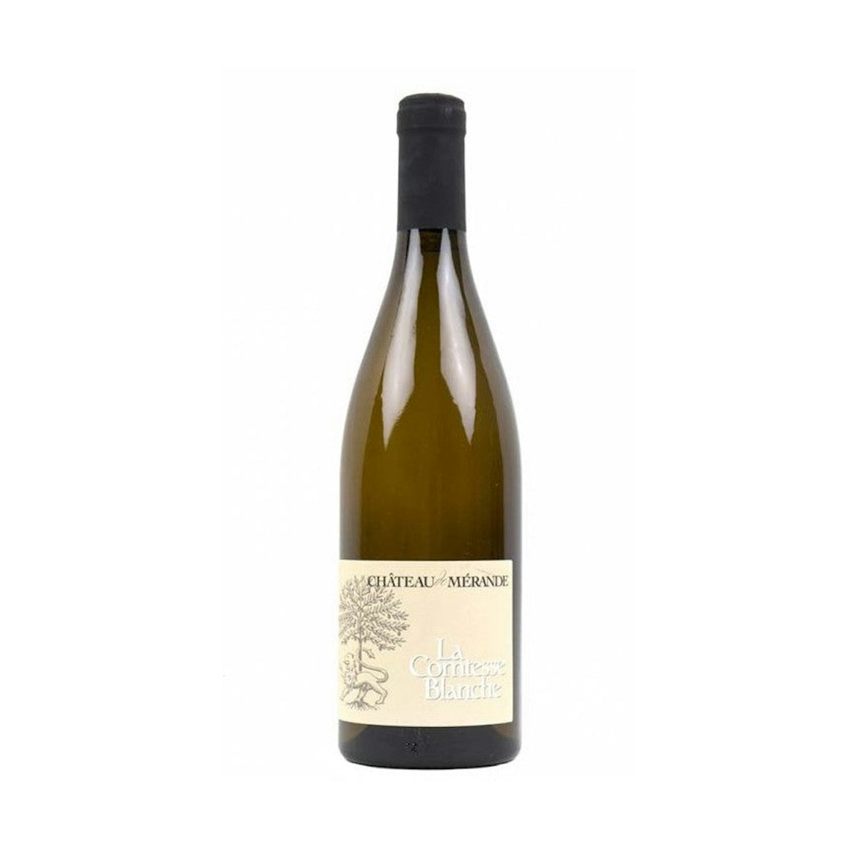 Rousette de Savoie, La Comtesse Blanche, 2016